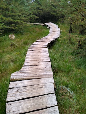 gisburn trails