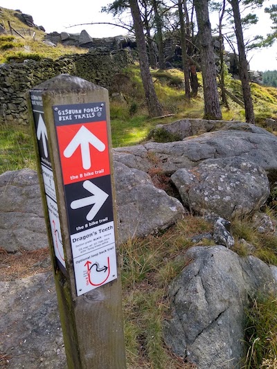 gisburn forest mtb red and black routes