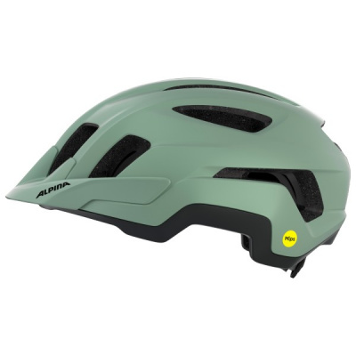 Alpina - Paranus Mips - Bike helmet