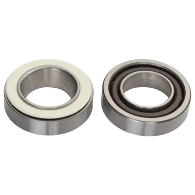 Campagnolo Hub Bearings High End Service Kit