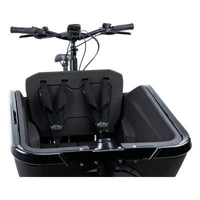 Cube cargo Safety Belt