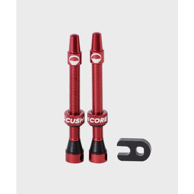 CushCore Tubeless Valves