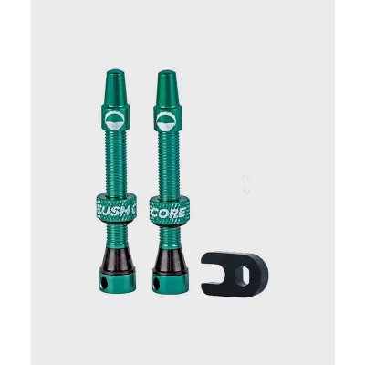 CushCore Tubeless Valves