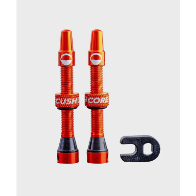 CushCore Tubeless Valves