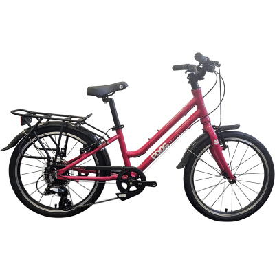 EX DISPLAY Frog Bikes City 53 Hybrid Kids Bike 2025
