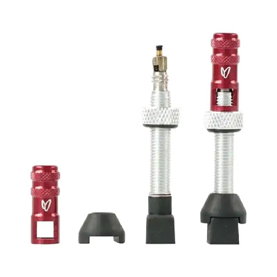 Effetto Mariposa tubeless valve