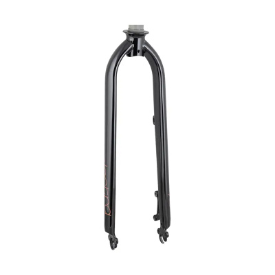 Electra Townie Go! 5i 26in Rigid Fork