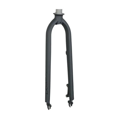 Electra Townie Go! 8D 26in Fork