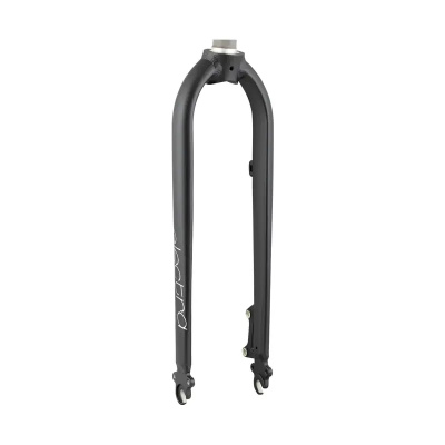 Electra Townie Path Go! Rigid Fork