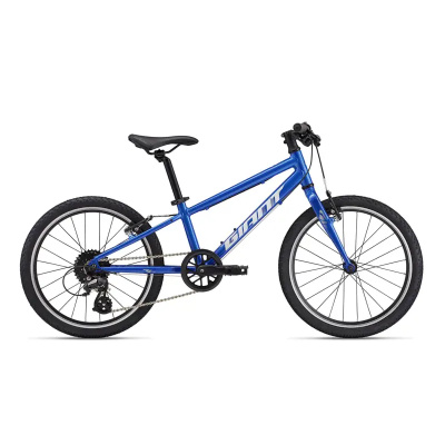Giant ARX 20 Kids Bike 2026