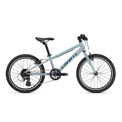 Giant ARX 20 Kids Bike 2026