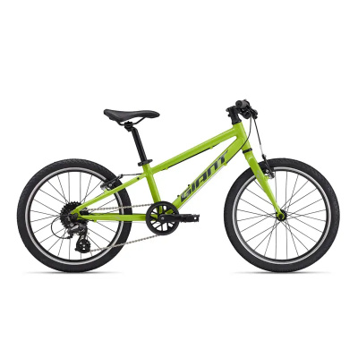 Giant ARX 20 Kids Bike 2026