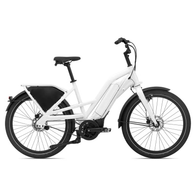 Giant Delivery E+ Electric Cargo Bike 2025