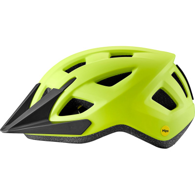 Giant Path ARX Youth Helmet