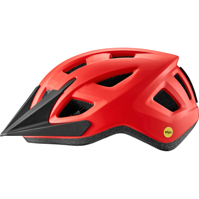 Giant Path ARX Youth Helmet