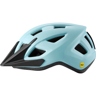 Giant Path ARX Youth Helmet