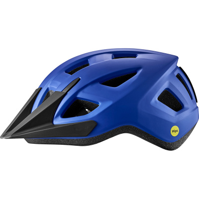 Giant Path ARX Youth Helmet