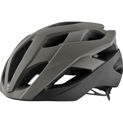 Giant Rev Elite MIPS Helmet