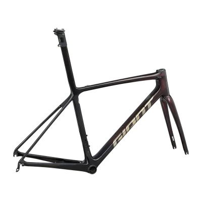 Giant TCR Advanced SL Road Bike Frameset 2025