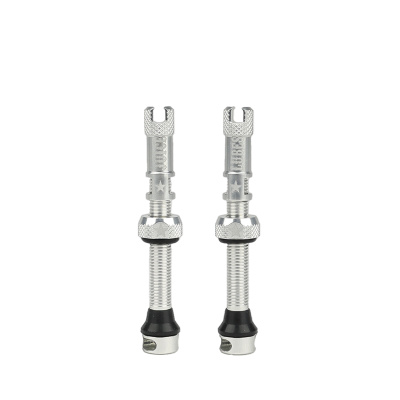 Juice Lubes Tubeless Valves 48mm