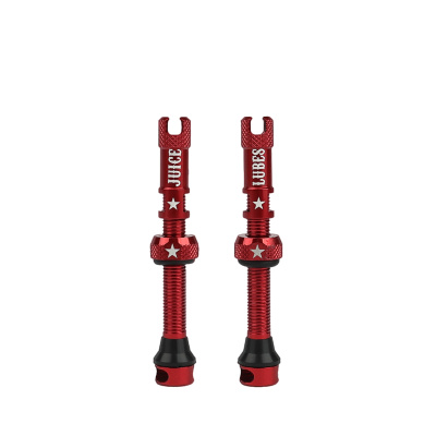 Juice Lubes Tubeless Valves 48mm
