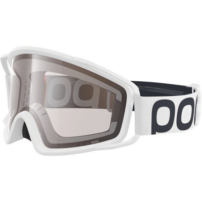 POC Zygon Goggles