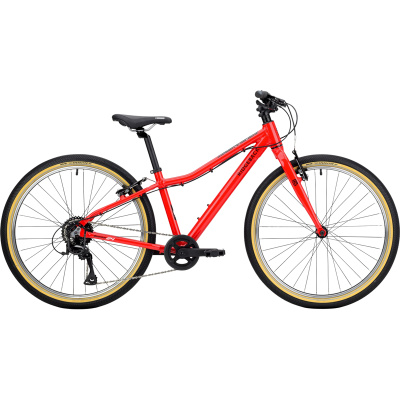 Ridgeback Dimension 24 Kids Bike 2027