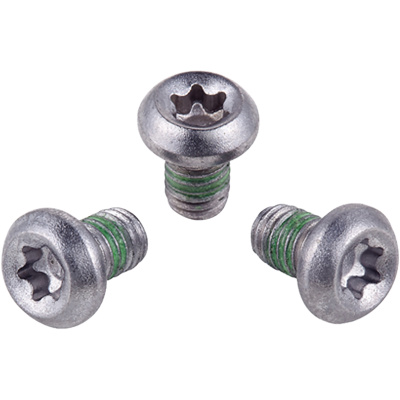 SRAM Removable Spider Mounting Crank Bolt Kit - Torx T25