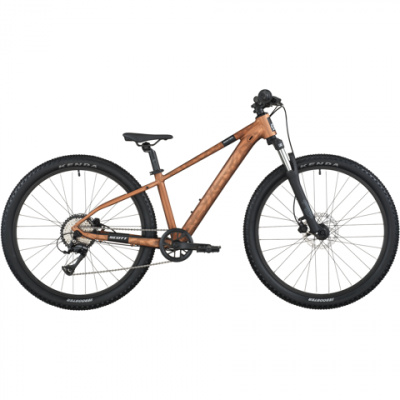Scott Roxter 600 Kids Bike 2026