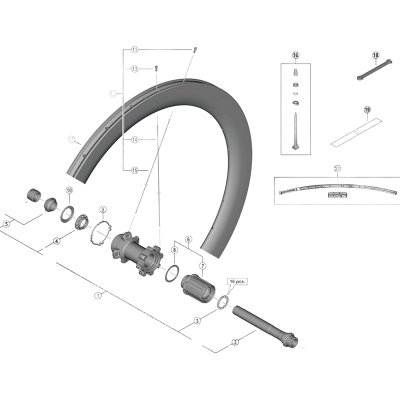 Shimano WH-R8170-C36-TL-F spoke - 286 mm