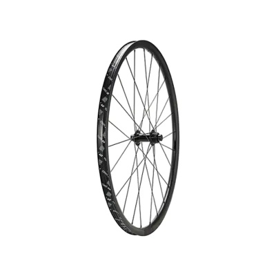 Specialized DT G540 V2 700c Front Alloy TA 12x100mm