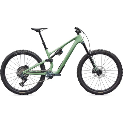 Specialized Stumpjumper 15 EVO Expert Full Suspension Mountain Bike 2026