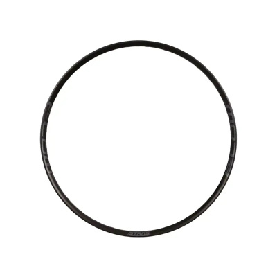 Stans Flow S2 29 inch 32H Rim