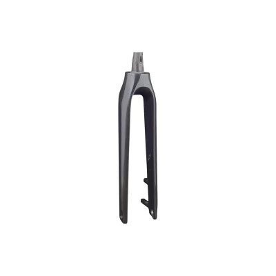 TREK-DIAMANT Trek 2020-2022 Allant+ 9.9 700c Rigid Fork