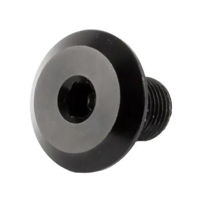 Transition TBC Seatstay Pivot Screw 12mm