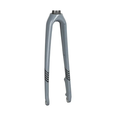 Trek 2020 Boone 700c Rigid Fork