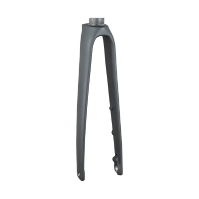 Trek 2021 Emonda SLR 700c Rigid Fork