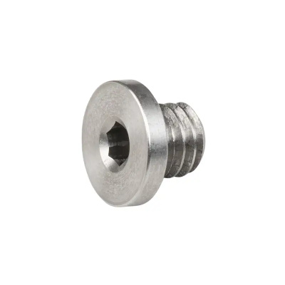 Trek Derailleur Hanger Button Head Bolt 6x4mm