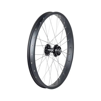 Trek Roscoe Boost 20in MTB Front Wheel