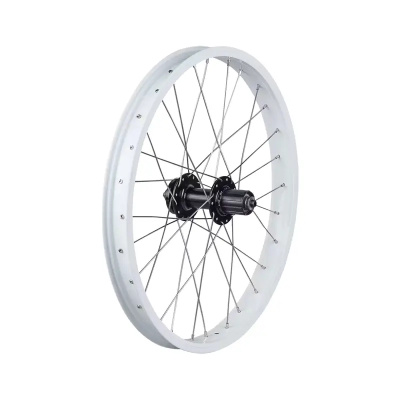 Trek Roscoe Boost 20in MTB Rear Wheel