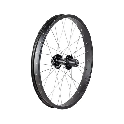 Trek Roscoe Boost 20in MTB Rear Wheel