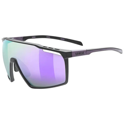 Uvex Mtn Perform Glasses