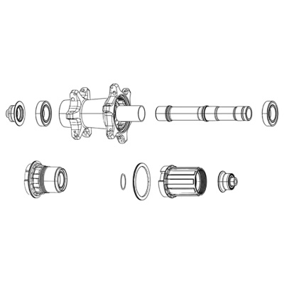 Zipp Cognition NSW ZR1 ZM2 Wave Spring Spare Wheel Part Qty 2