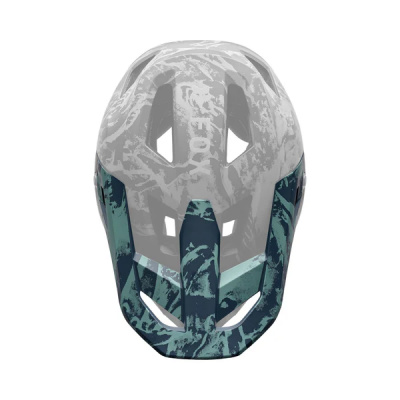 Fox Rampage IMAGE Print Helmet Visor