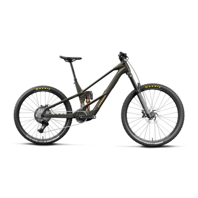 Orbea Wild LT M20