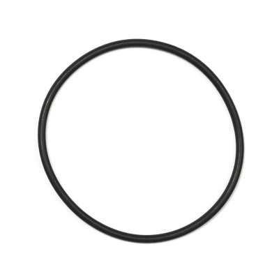 Bosch O-Ring BDU2XX