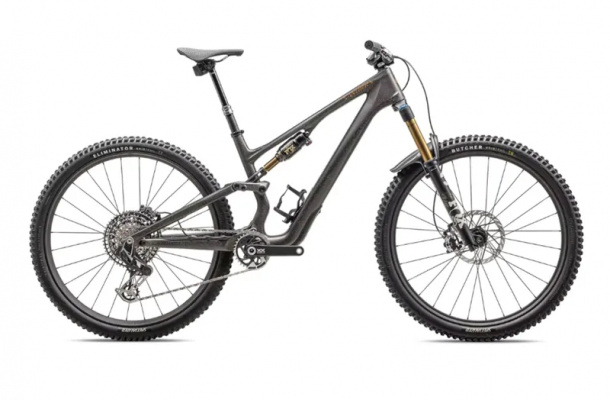 Ex-Demo: S-Works Stumpjumper 15 Mountain Bike