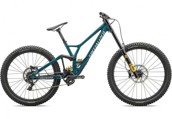 Ex-Demo: Specialized Demo Race Downhill Mountain Bike