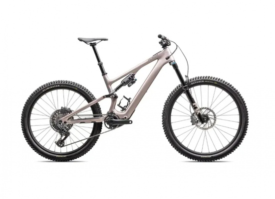 Ex-Demo: Specialized Turbo Levo SL 2 Expert Carbon E-Mountain Bike