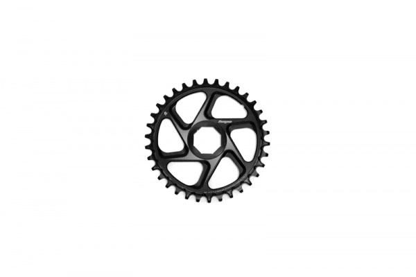Hope R22 E-Bike Spiderless Retainer Ring Brose 36T
